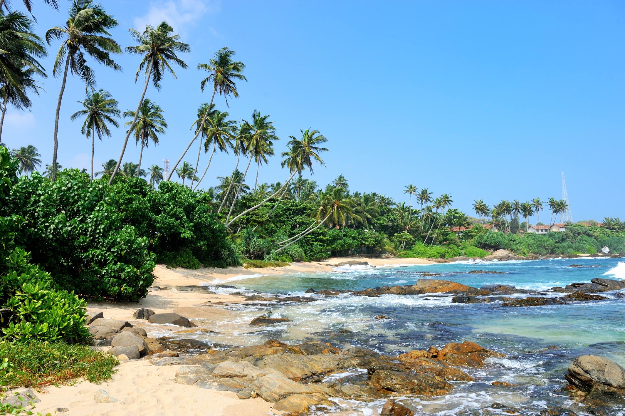 tropical-beach-with-palm-sri-lanka